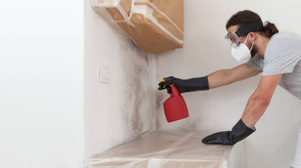 Professional Basement Mold Remediation technician working in Chapel Hill, NC