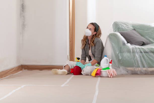 Reliable Basement Mold Remediation contractor in Chapel Hill, NC by Mold Remediation HQ